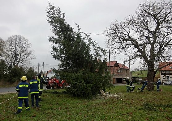 Zum zweiten Mal (Foto: privat)