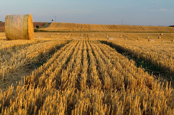Wetter-Bild (Foto: Gernot Thelemann)