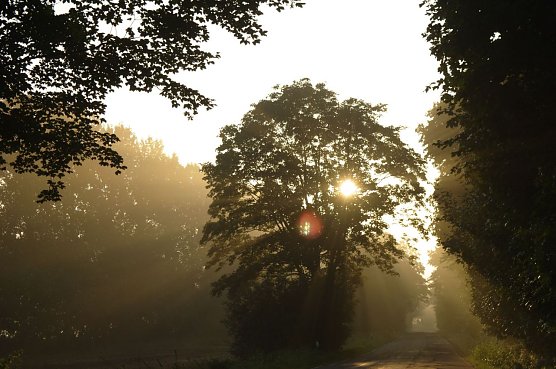 Wetter-Bild (Foto: Gernot Thelemann) Wetter-Bild (Foto: Gernot Thelemann)