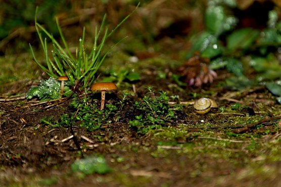 Wetter-Bild (Foto: Gernot Thelemann) Wetter-Bild (Foto: Gernot Thelemann)