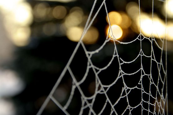 Wetter-Bild (Foto: Gernot Thelemann) Wetter-Bild (Foto: Gernot Thelemann)