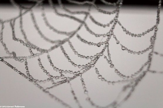 Wetter-Bild (Foto: Gernot Thelemann)