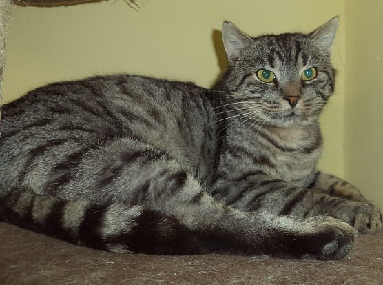 Toni (Foto: C. Knust)