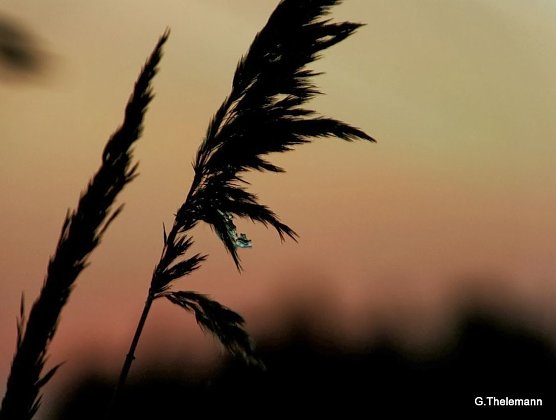 Wetter-Bild (Foto: Gernot Thelemann)