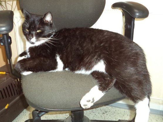 Klinker (Foto: C. Knust)