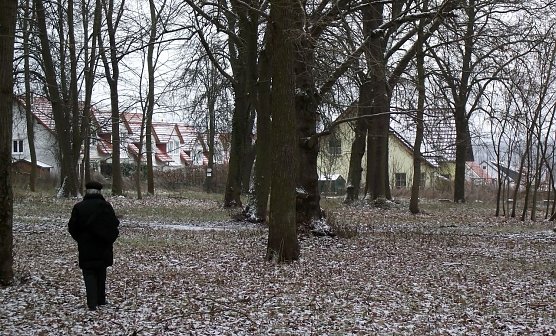 Alt und Neu (Foto: Kurt Frank)