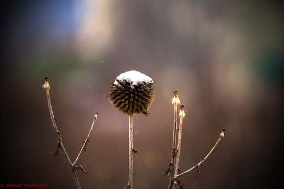 Wetter-Bild (Foto: Gernot Thelemann) Wetter-Bild (Foto: Gernot Thelemann)