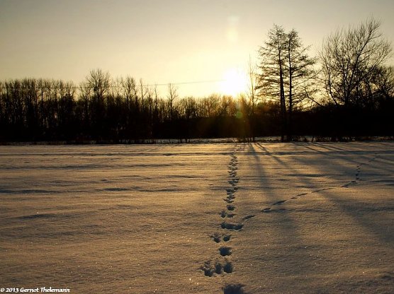 Wetter-Bild (Foto: Gernot Thelemann)