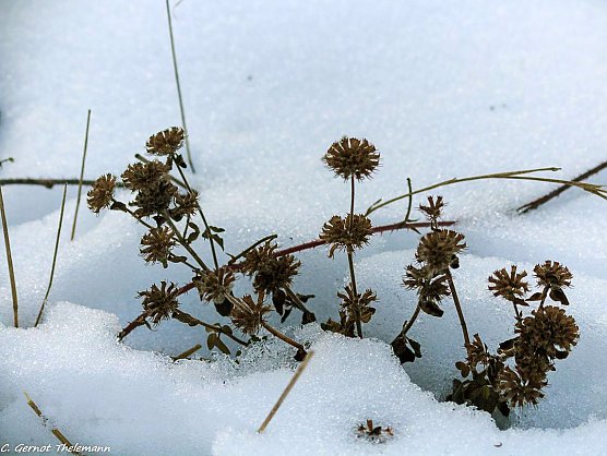 Wetter-Bild (Foto: Gernot Thelemann)