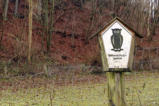 Naturschutzgebiet (Foto: Gr&uuml;ne)