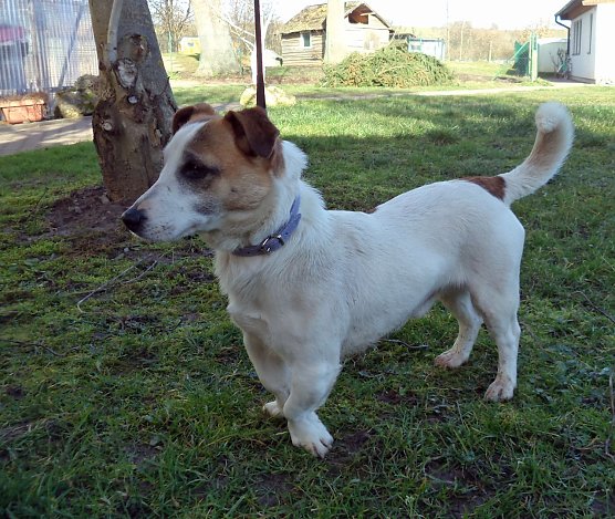 Gefunden (Foto: C. Knust)