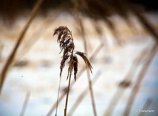 Wetter-Bild (Foto: Gernot Thelemann) Wetter-Bild (Foto: Gernot Thelemann)