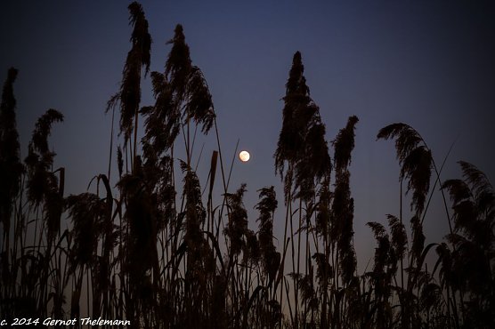 Wetter-Bild (Foto: Gernot Thelemann)