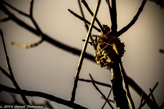 Wetter-Bild (Foto: Gernot Thelemann) Wetter-Bild (Foto: Gernot Thelemann)