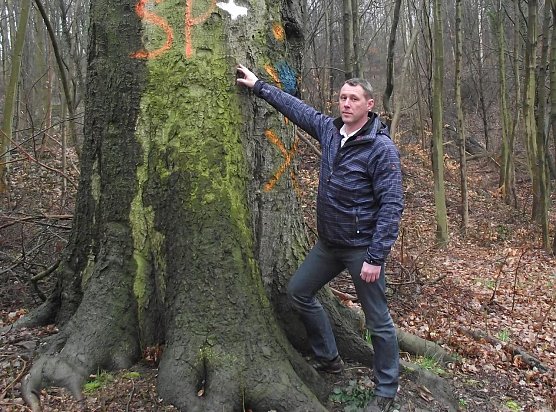 Axel Axt (Foto: Kurt Frank) Axel Axt (Foto: Kurt Frank)