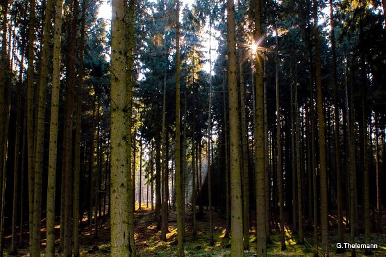 Wetter-Bild (Foto: Gernot Thelemann) Wetter-Bild (Foto: Gernot Thelemann)