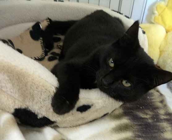 Ilona (Foto: C. Knust)