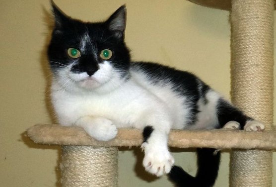 Berta (Foto: C. Knust) Berta (Foto: C. Knust)