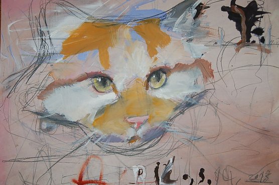 Katze (Foto: Gerd Mackensen)