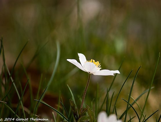 Wetter-Bild (Foto: Gernot Thelemann) Wetter-Bild (Foto: Gernot Thelemann)