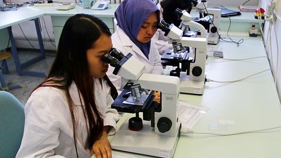 Wissenschaft zum Anfassen (Foto: Tina Schneppe, FHN) Wissenschaft zum Anfassen (Foto: Tina Schneppe, FHN)