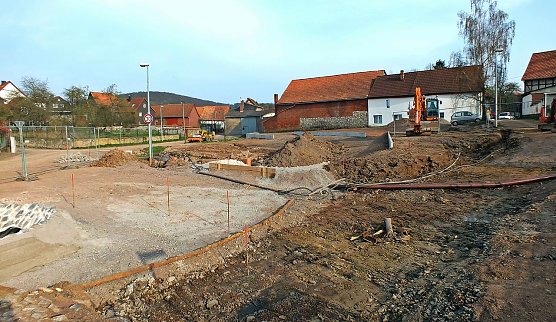 Fundort (Foto: nnz) Fundort (Foto: nnz)