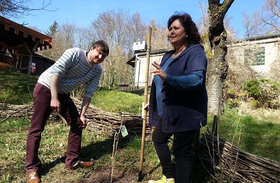 Weinstock gepflanzt (Foto: privat)