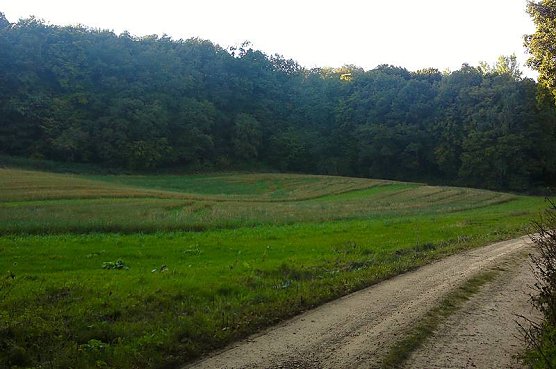 Hier soll der Klimawald entstehen (Foto: Forstamt Bleicherode S&uuml;dharz)