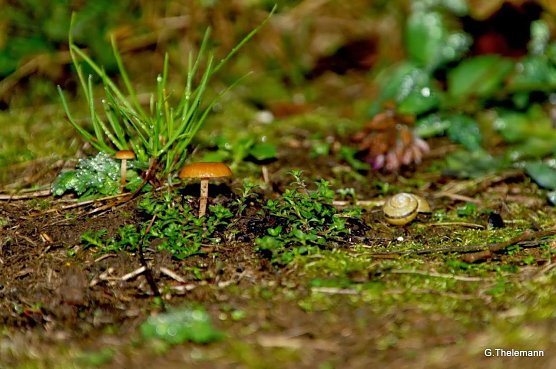 Wetter-Bild (Foto: Gernot Thelemann) Wetter-Bild (Foto: Gernot Thelemann)
