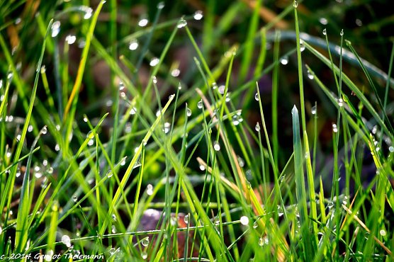 Wetter-Bild (Foto: Gernot Thelemann) Wetter-Bild (Foto: Gernot Thelemann)