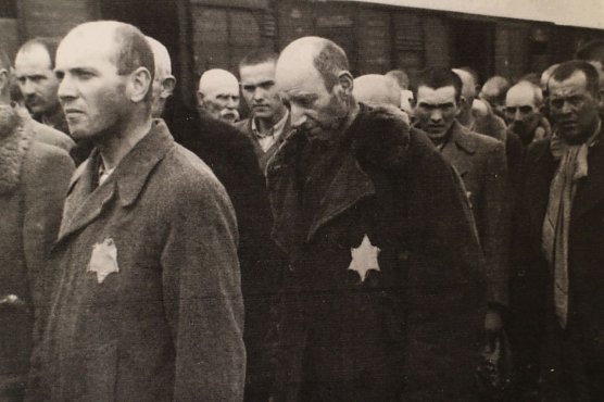 Ankunft in Auschwitz (Foto: Das Auschwitz Album)