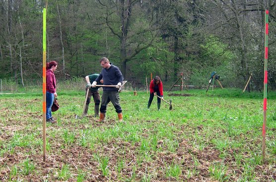 Gepflanzt (Foto: Forstamt Bleicherode Südharz) Gepflanzt (Foto: Forstamt Bleicherode Südharz)