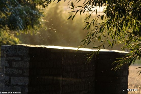 Wetter-Bild (Foto: Gernot Thelemann) Wetter-Bild (Foto: Gernot Thelemann)