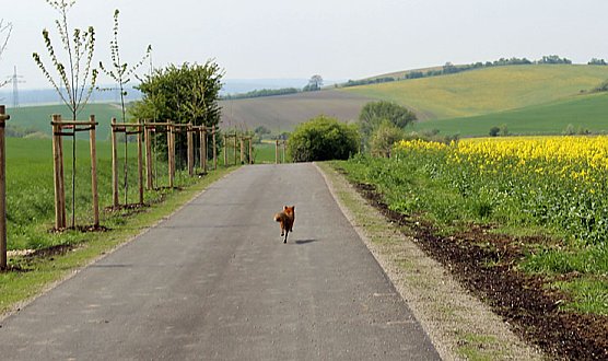 Sieg nach Punkten für kn (Foto: Karl-Heinz Herrmann) Sieg nach Punkten für kn (Foto: Karl-Heinz Herrmann)
