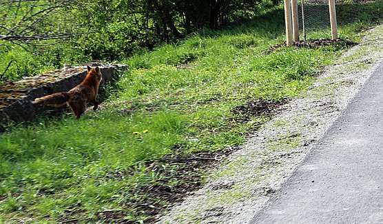 Sieg nach Punkten für kn (Foto: Karl-Heinz Herrmann) Sieg nach Punkten für kn (Foto: Karl-Heinz Herrmann)