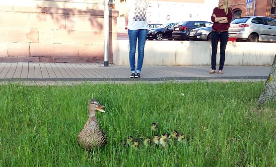 Gerettet (Foto: privat)
