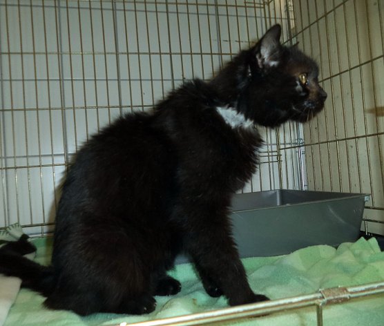 Findelkind (Foto: C. Knust) Findelkind (Foto: C. Knust)