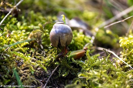 Wetterbild (Foto: Gernot Thelemann)