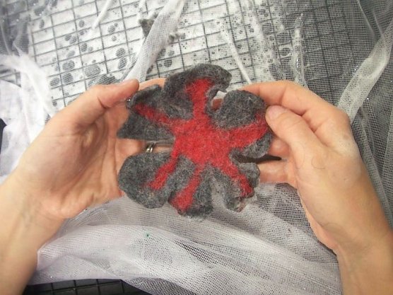 Filz (Foto: JKS) Filz (Foto: JKS)