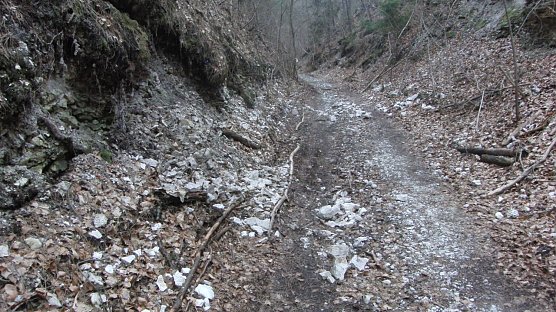 Stempedaer Marktweg (Foto: Bodo Schwarzberg)
