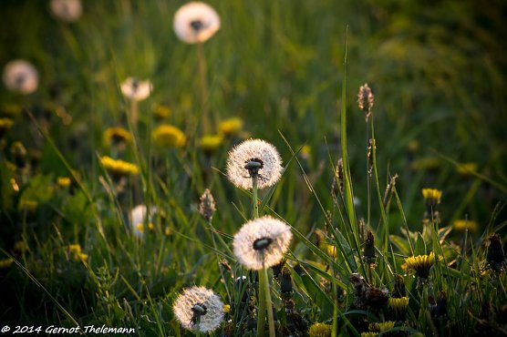 Wetter-Bild (Foto: Gernot Thelemann)