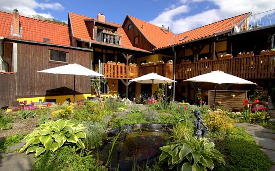 Blick in den Garten (Foto: Gusto)