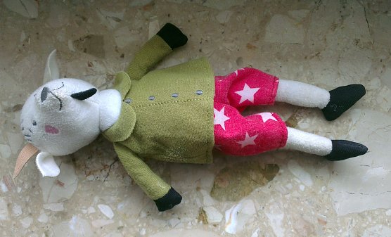 Gefunden (Foto: privat)