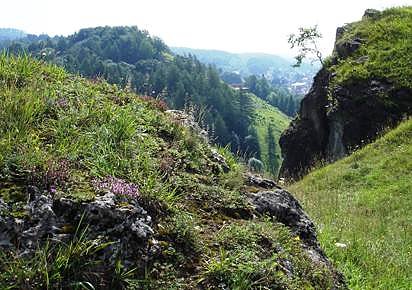 Auf dem Karstwanderweg (Foto: Jessica Pieper) Auf dem Karstwanderweg (Foto: Jessica Pieper)