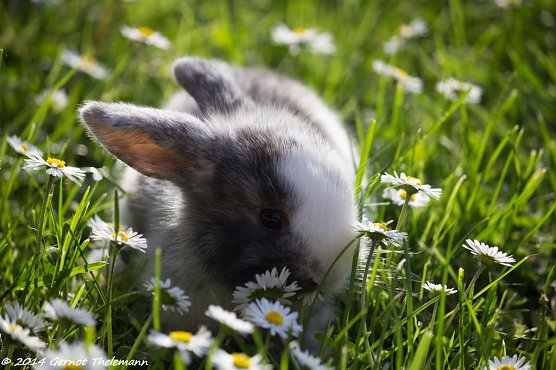 Wetter-Bild (Foto: Gernot Thelemann)