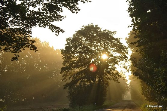 Wetter-Bild (Foto: Gernot Thelemann) Wetter-Bild (Foto: Gernot Thelemann)