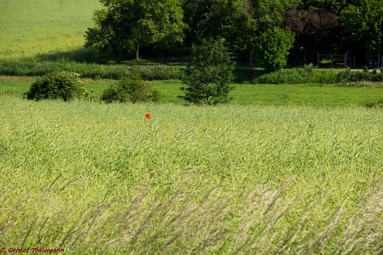 Wetter-Bild (Foto: Gernot Thelemann)