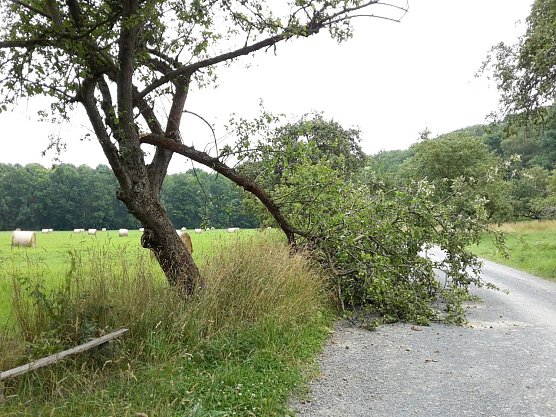 Abgebrochen (Foto: Peter Blei) Abgebrochen (Foto: Peter Blei)