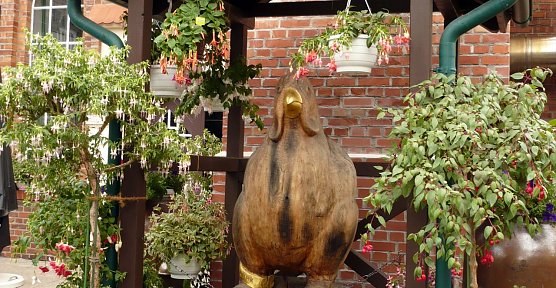 Fuchsien wieder in der "Tradi" (Foto: privat)