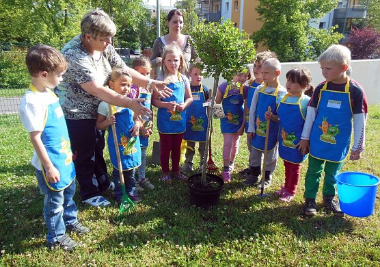 Baum gepflanzt (Foto: A. Strohbach)